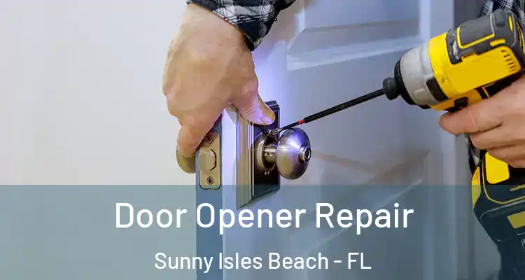  Door Opener Repair Sunny Isles Beach - FL