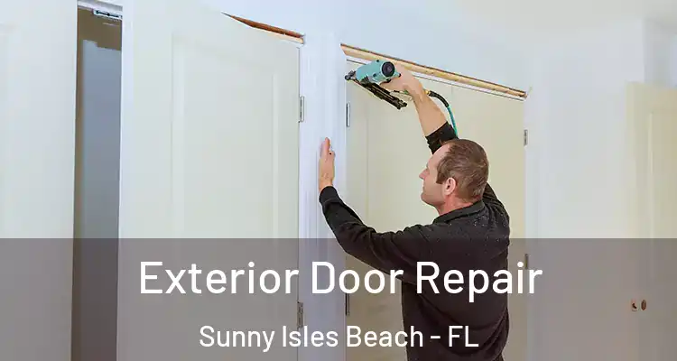  Exterior Door Repair Sunny Isles Beach - FL