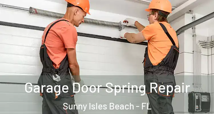  Garage Door Spring Repair Sunny Isles Beach - FL