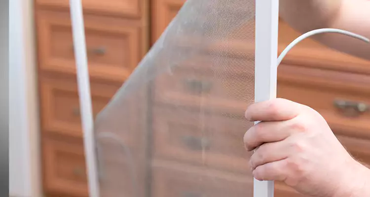 Privacy Mesh Screen Door Installation in Sunny Isles Beach, FL