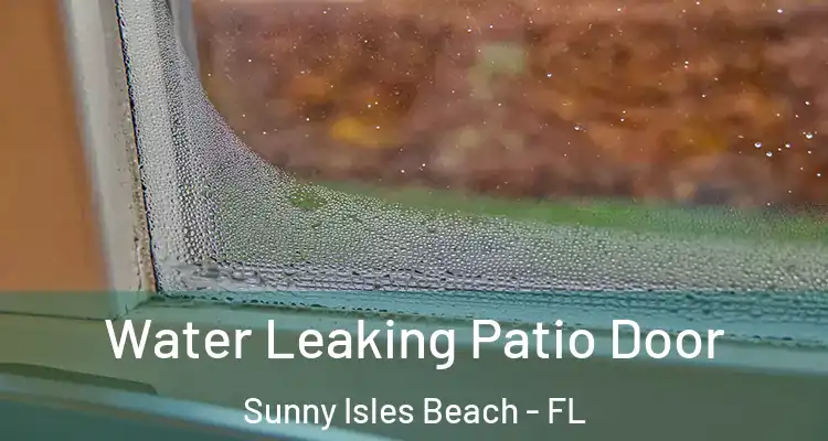  Water Leaking Patio Door Sunny Isles Beach - FL